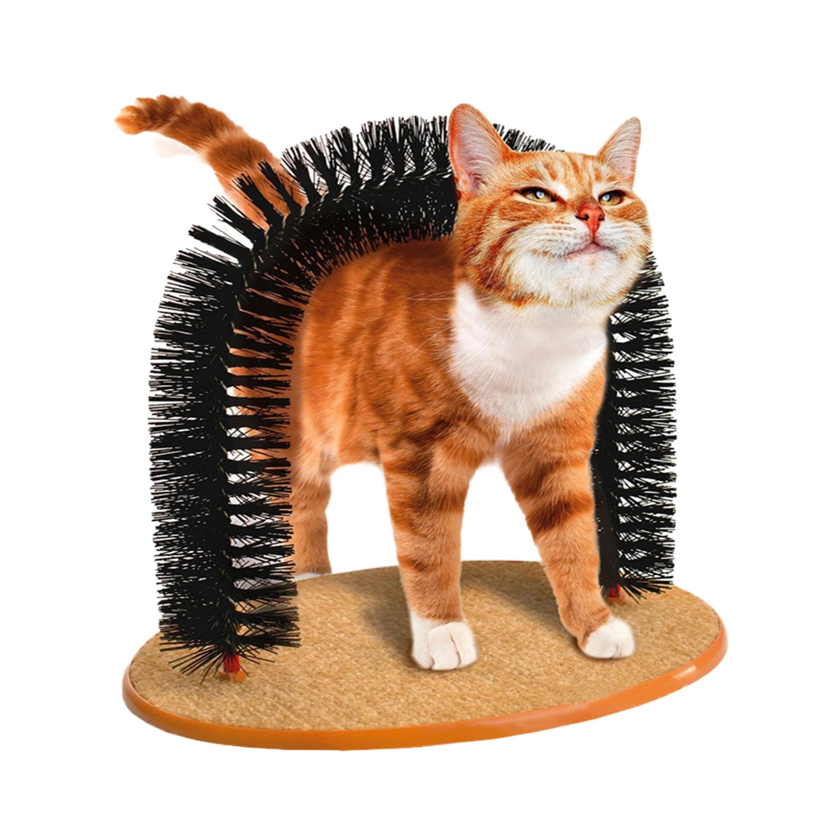 Cat Scratch Arch Kitten Massaging Scratching Scratcher Pet Grooming Play Catnip