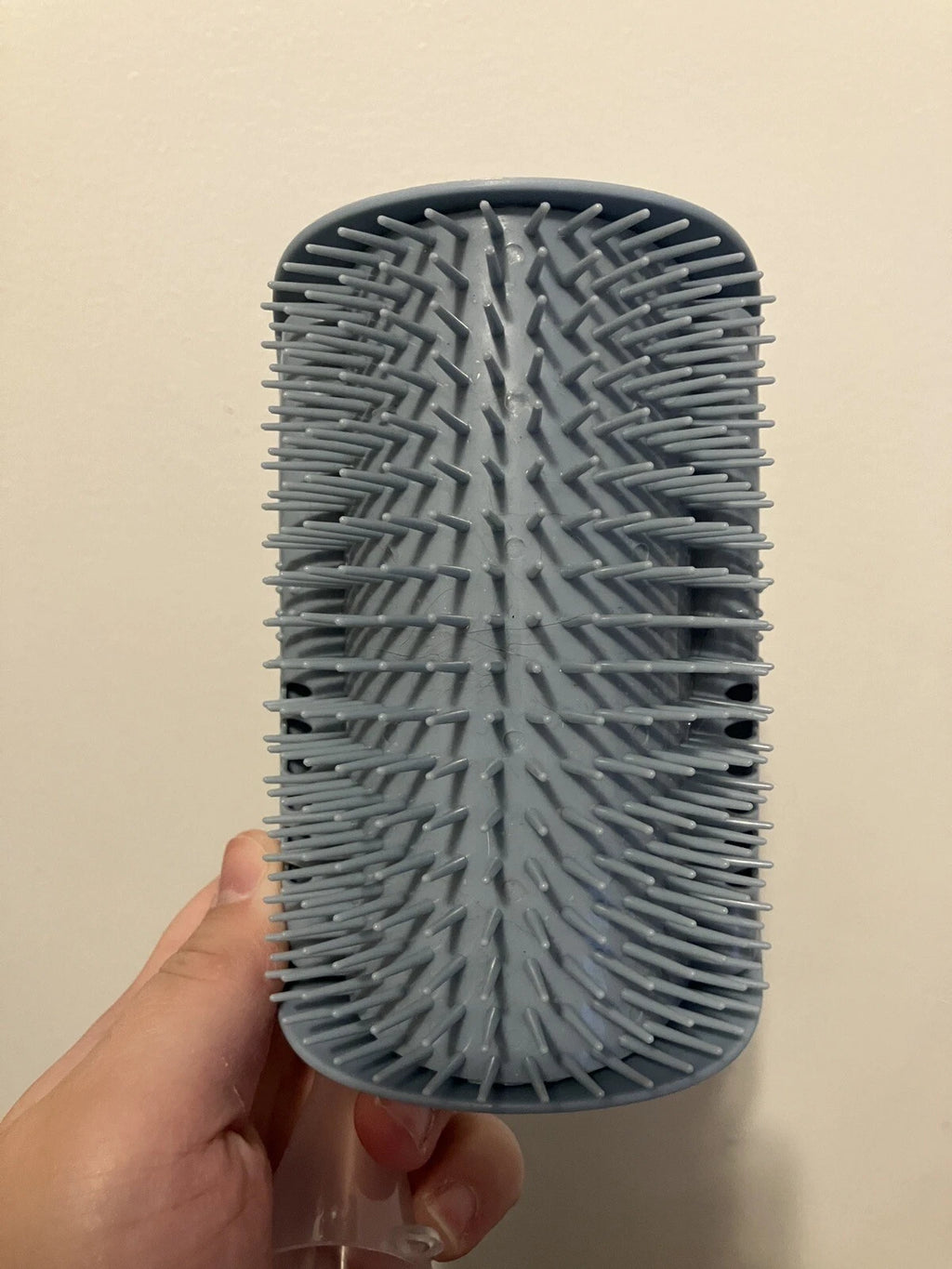 Brand New Blue Cat Self-Groomer Face Scratcher Wall Corner Massage Brush Comb