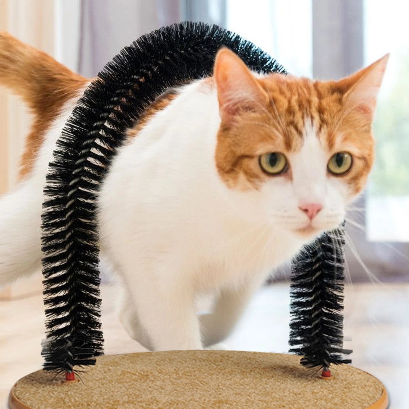 Cat Scratch Arch Kitten Massaging Scratching Scratcher Pet Grooming Play Catnip