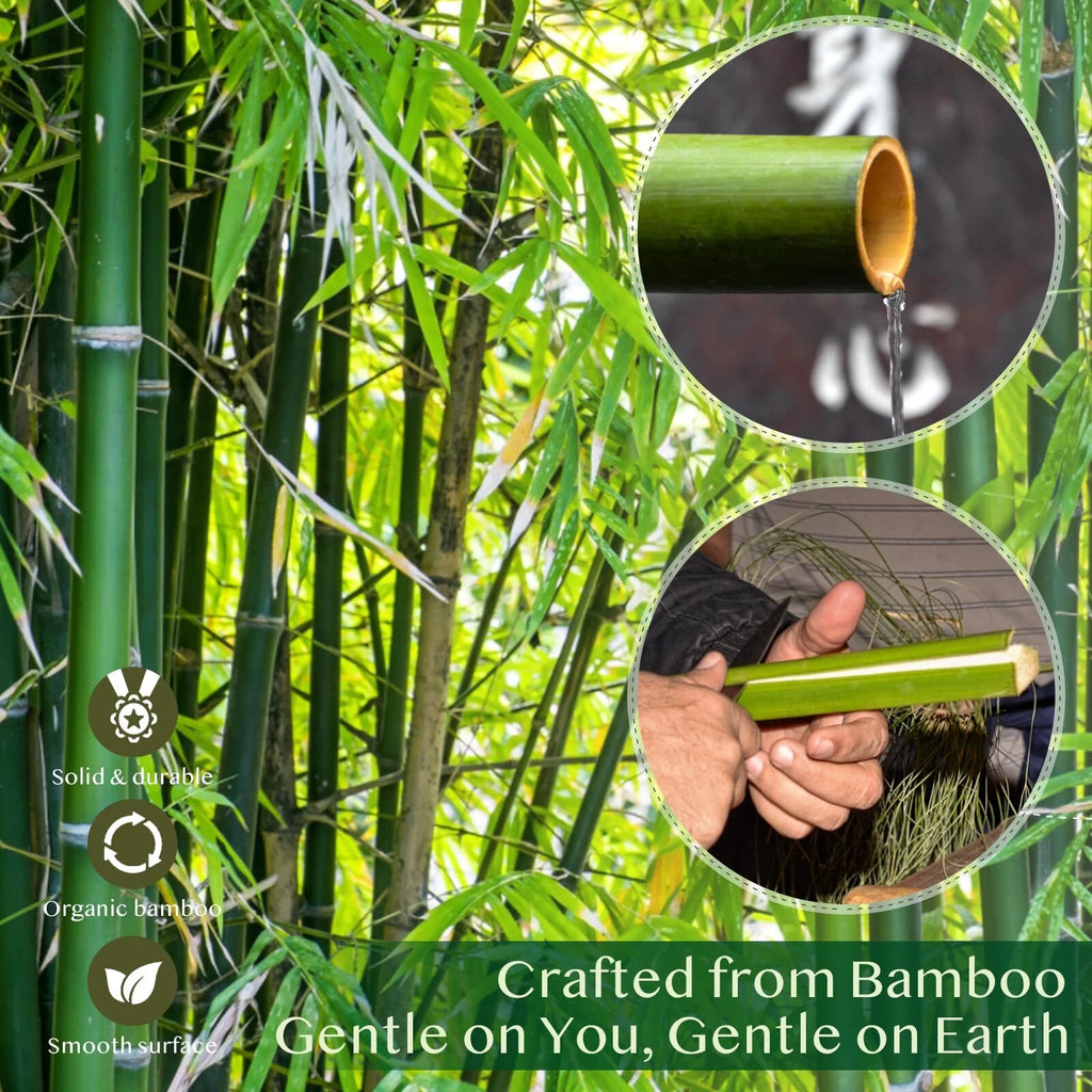 2 Pack Bamboo Back Scratcher Engraved with I Always Got Your Back Long Handle