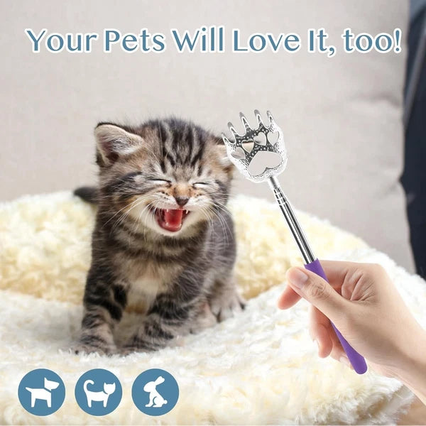 Stainless Steel & Rubber Bear Claw Back Scratchers – Travel-Friendly Design