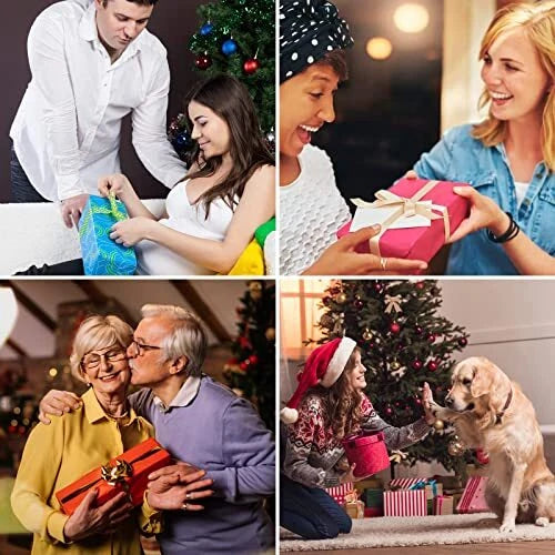 Portable Telescoping Back Scratcher with 3 Detachable Scratching Heads