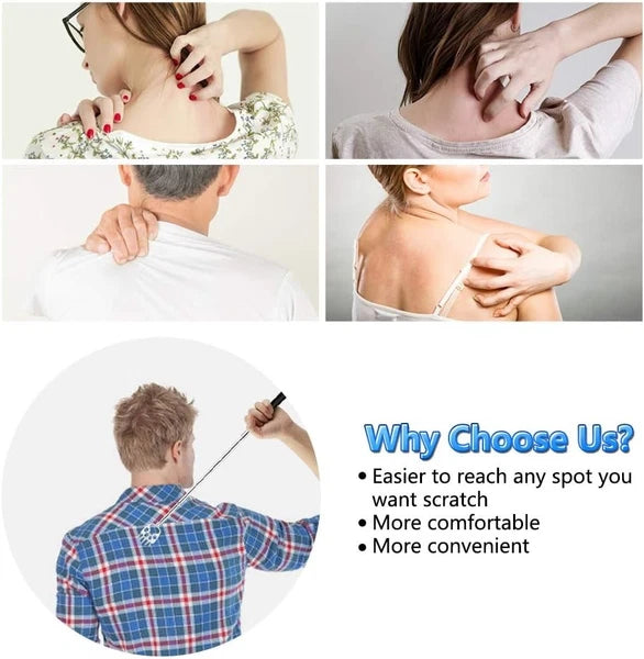 6 Pack Telescoping Back Scratcher - Bear 6 Count (Pack of 1), Multi-color