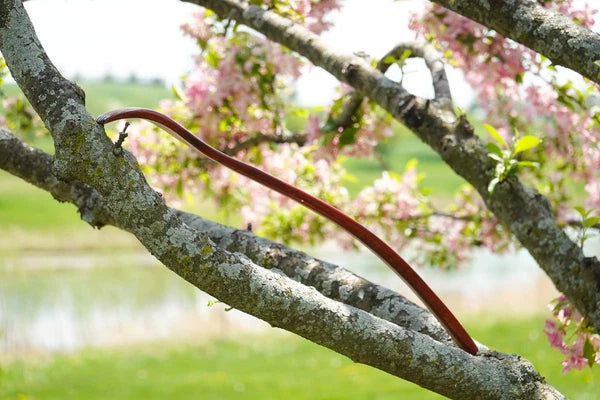 ITCHY-BAN Oversized Wooden Back Scratcher 18'' Extended Curved Handle for Bet...