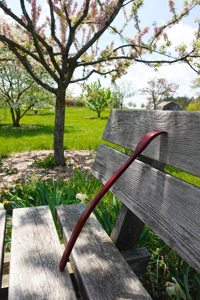 Oversized Wooden Back Scratcher: 18'' Extended Curved Handle for Better Reach, H