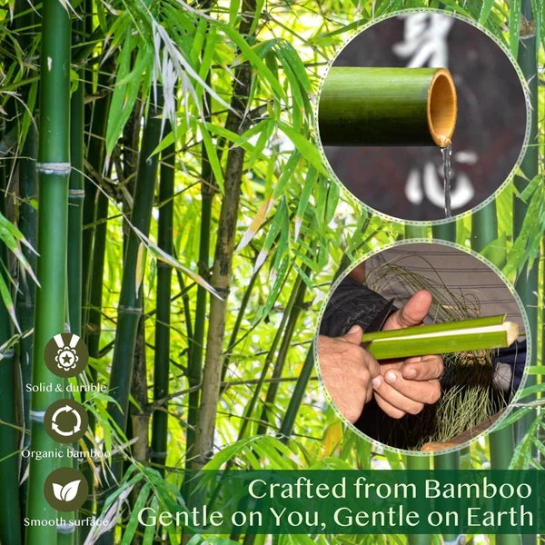 2 Pack Bamboo Back Scratcher Engraved with I Always Got Your Back Long Handle