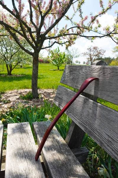 ITCHY-BAN Oversized Wooden Back Scratcher 18'' Extended Curved Handle for Bet...