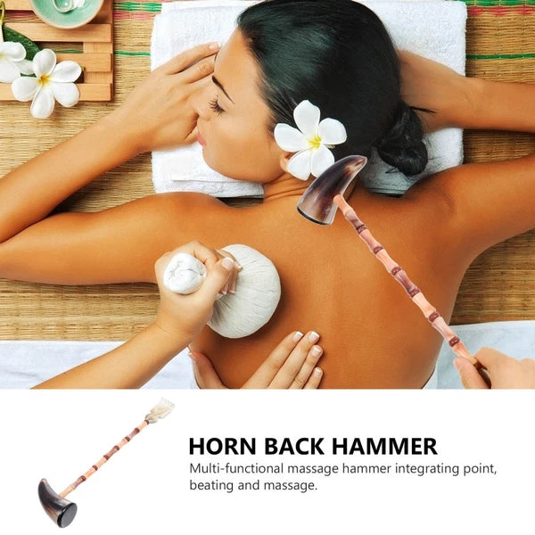 Itchy Animal Back Scratcher Massage Pad Scratching Tool Massager